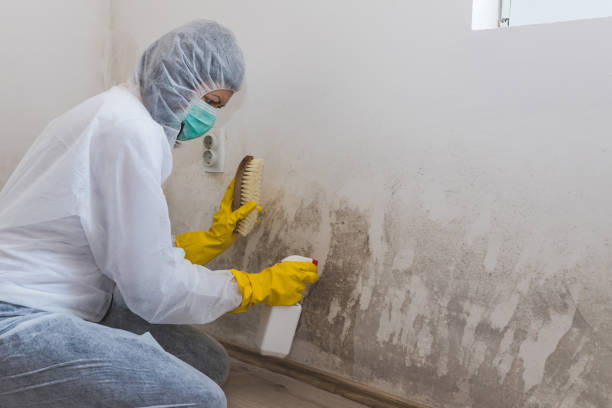 Water Damage Restoration in Hillsboro, TX