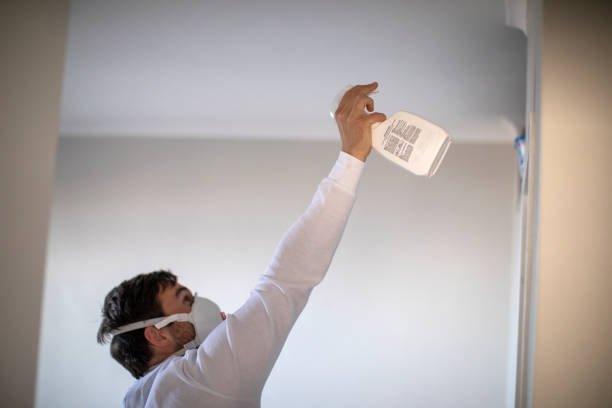 Best Fast Mold Removal  in Hillsboro, TX