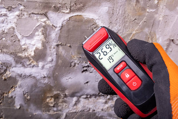Best Mold Testing  in Hillsboro, TX