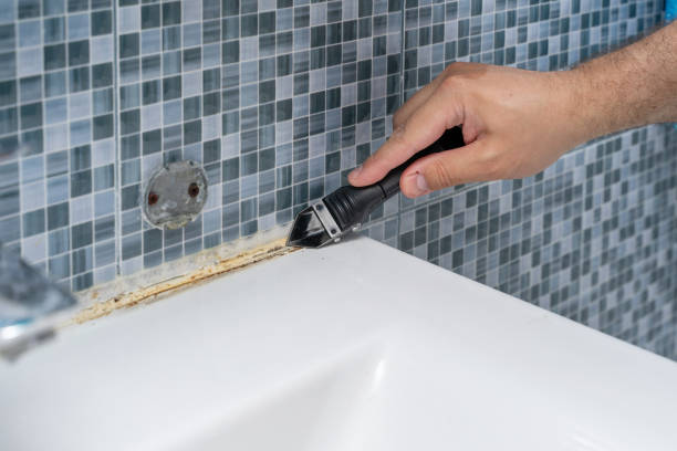 Office Mold Removal Services in Hillsboro, TX