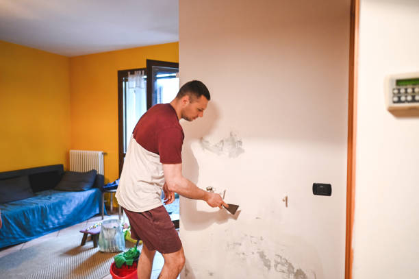 Best Mold Damage Repair  in Hillsboro, TX